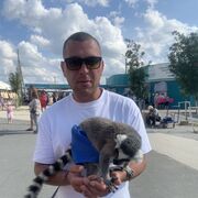 ���������� ���������, ���� ������� �����, 38 ���, ������������ ��� ������, ����� � ���������