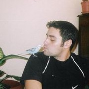  ,   EllDar, 45 ,   