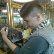 ���������� ������-��-����, ���� ������� ���������, 31 ���, ������������ ��� ������, ����� � ���������, c�������� ���������