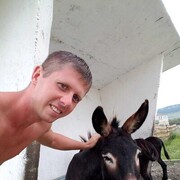  ,   , 33 ,   