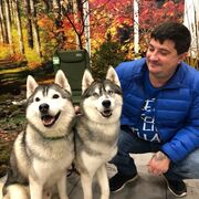 ���������� �������, ���� ������� �������, 45 ���, ������������ ��� ������, ����� � ���������