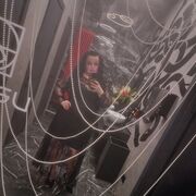 ���������� �������-�����, ���� ������� �������, 41 ���, ������������ ��� ������, ����� � ���������, ���������