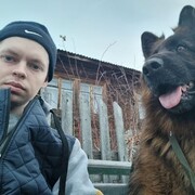 ���������� �����, ���� ������� ��������, 29 ���, ������������ ��� ������, ����� � ���������, c�������� ���������, ���������