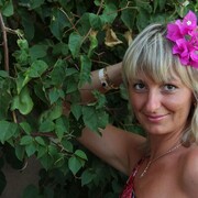 ���������� �����-���������, ���� ������� ��������, 43 ����, ������������ ��� ������, ����� � ���������, c�������� ���������