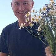 ���������� ������������, ���� ������� �����, 43 ����, ������������ ��� ������, ����� � ���������