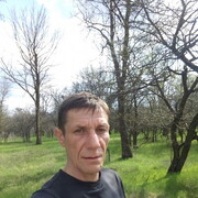  ,   , 51 ,     , c 