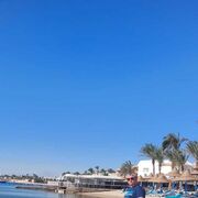 ���������� ������, ���� ������� ������, 36 ���, ������������ ��� ������, ����� � ���������, c�������� ���������