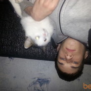 ���������� ����-�����������, ���� ������� Sharif, 33 ����, ������������ ��� ������, ����� � ���������, c�������� ���������