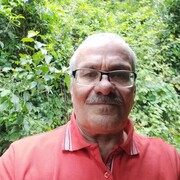 ���������� ����, ���� ������� �����, 62 ����, ������������ ��� ������, ����� � ���������