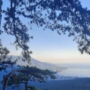 ���������� �����������, ���� ������� ����, 40 ���, ������������ ��� c�������� ���������