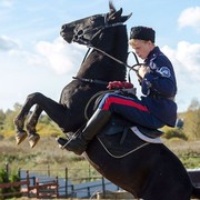 ���������� �������, ���� ������� ����, 33 ����, ������������ ��� ������, ����� � ���������, c�������� ���������