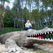 ���������� ������, ���� ������� ������, 65 ���, ������������ ��� ������, ����� � ���������, c�������� ���������