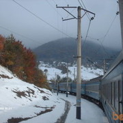 ���������� ����, ���� ������� ������, 46 ���, ������������ ��� ����� � ���������, c�������� ���������