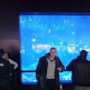  ,   , 41 ,   