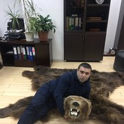 ���������� ���������, ���� ������� ����, 44 ����, ������������ ��� ������, ����� � ���������, c�������� ���������