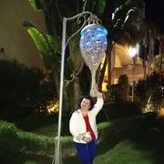 ,   , 56 ,   ,   , 
