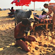 ���������� ����, ���� ������� �����, 45 ���, ������������ ��� ������, ����� � ���������, c�������� ���������