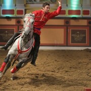 ���������� ������, ���� ������� ����, 31 ���, ������������ ��� ������, ����� � ���������, c�������� ���������