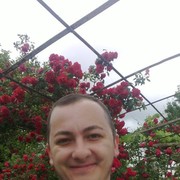 ���������� �������, ������� mishka, 31