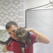  ,   , 28 ,   ,   , c 