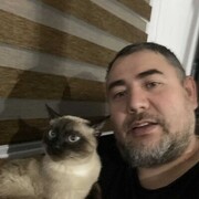 ���������� ������, ���� ������� Bay, 48 ���, ������������ ��� ������, ����� � ���������