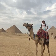 ���������� ���������, ���� ������� �������, 33 ����, ������������ ��� ������, ����� � ���������, c�������� ���������, ���������