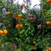  Loule,   Vaso, 65 ,     , c 