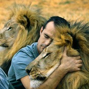 ���������� ���-���������, ���� ������� Lse, 53 ����, ������������ ��� ������, ����� � ���������, c�������� ���������