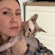 ���������� ������, ���� ������� ����, 37 ���, ������������ ��� ����� � ���������, c�������� ���������