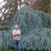  Troisdorf,   , 51 ,   ,   