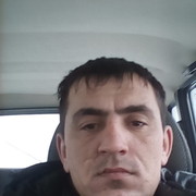 ���������� �����-��������, ���� ������� ����, 40 ���, ������������ ��� ������, ����� � ���������, c�������� ���������