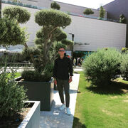 ���������� �����, ���� ������� ������, 26 ���, ������������ ��� ������, ����� � ���������