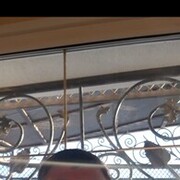 ���������� ������������, ���� ������� ������, 41 ���, ������������ ��� ������, ����� � ���������, c�������� ���������