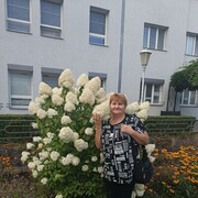  ,   , 50 ,   ,   , c , 