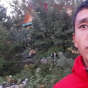 ���������� ��������, ���� ������� ������, 31 ���, ������������ ��� ������, ����� � ���������, c�������� ���������