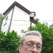   ,2019
