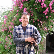  ,   Kanat, 42 ,     , c 