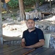  ,   , 38 ,  