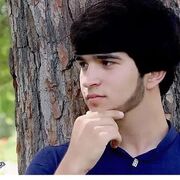 ���������� �����������, ���� ������� ��������, 29 ���, ������������ ��� ������, ����� � ���������, c�������� ���������, ���������