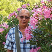  ,   , 65 ,  