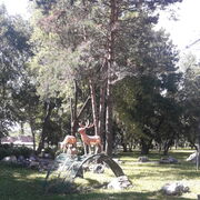  --,   , 34 ,     , c 