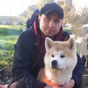 ���������� �����������, ���� ������� �����, 37 ���, ������������ ��� c�������� ���������