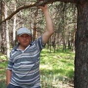 ���������� ��������, ���� ������� �������, 43 ����, ������������ ��� ������, ����� � ���������