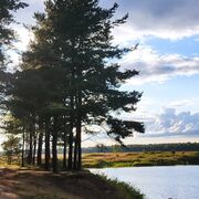 ���������� ���������, ����