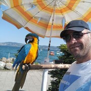  ,   Hamza, 45 ,   ,   