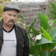  --,   , 66 ,   , 