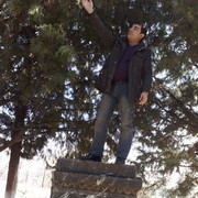  ,   Terfin, 42 ,   