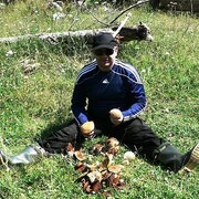 ���������� ������-��-����, ���� ������� ����������, 45 ���, ������������ ��� ����� � ���������, c�������� ���������