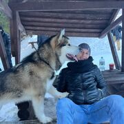 ���������� �����, ���� ������� �������, 29 ���, ������������ ��� ������, ����� � ���������, c�������� ���������, ���������