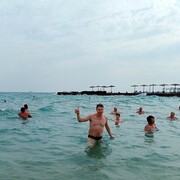 ���������� �������, ���� ������� ����, 43 ����, ������������ ��� ������, ����� � ���������, c�������� ���������